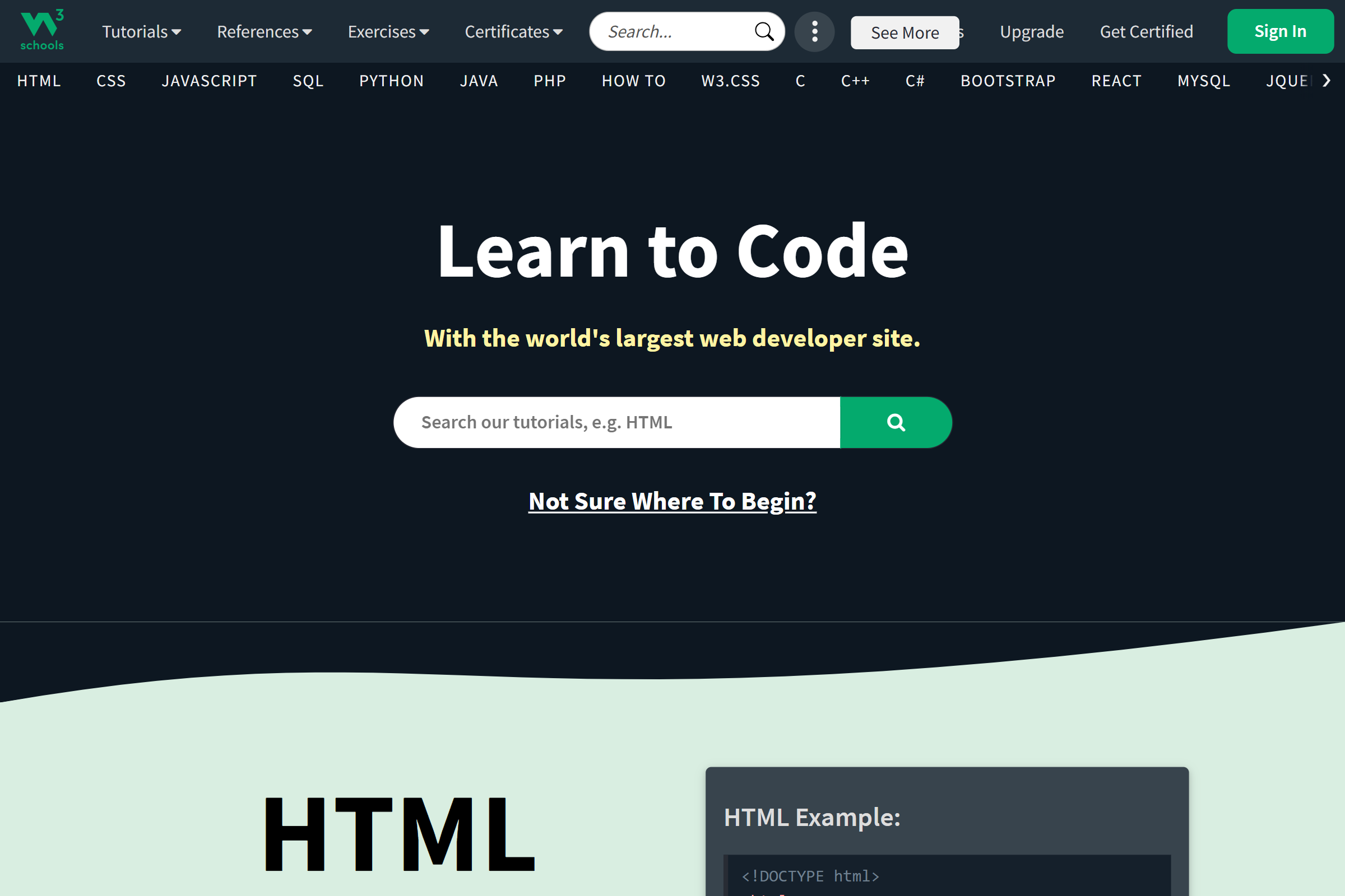 W3Schools website preview